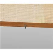 ING FIXATIONS PITON DE SUSPENSION DE RENOVATION MALE M6 - BOITE DE 100