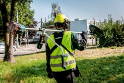 METABO DEBROUSSAILLEUSE SANS FIL FSB 36-18LTX BL40 - 18V - - SANS CHARGEUR SANS BATTERIE